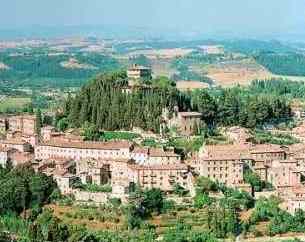 CETONA CETONA